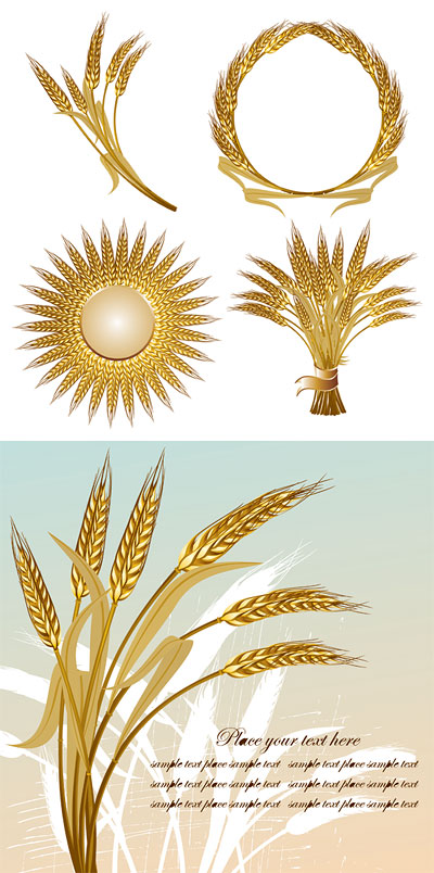 wheat gold color 