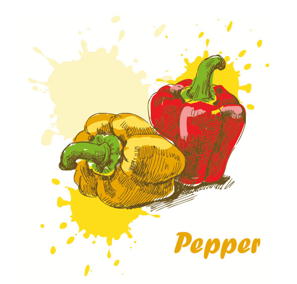 Hand drawn Different food elements vector 02
