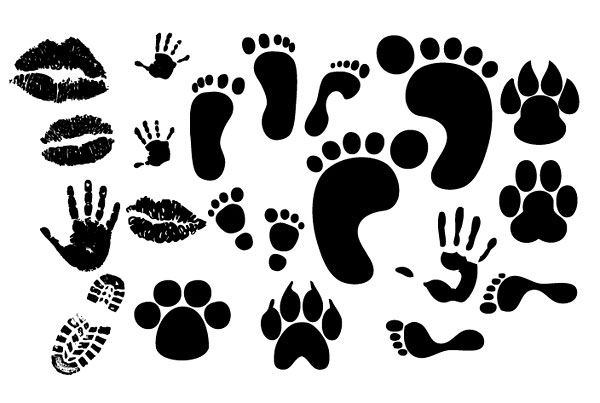 shoe Hickey handprint footprints 