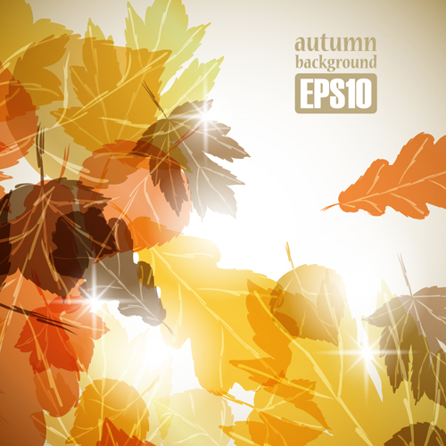 theme autumn 