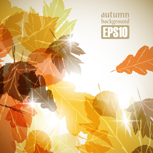 Autumn theme backgrounds art vector 04