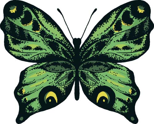 Beautiful butterflies design material vector 04