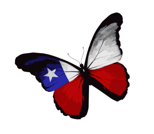 Beautiful butterflies design material vector 05