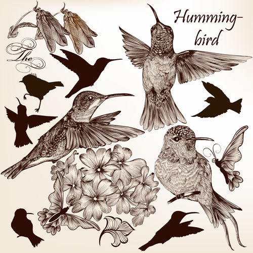 Hand drawn birds vintage style vector 02