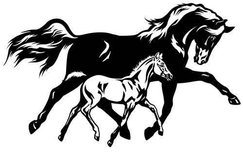 Creative running horse design vector set 05