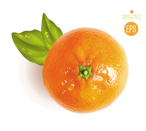 material fruit fresh citrus 
