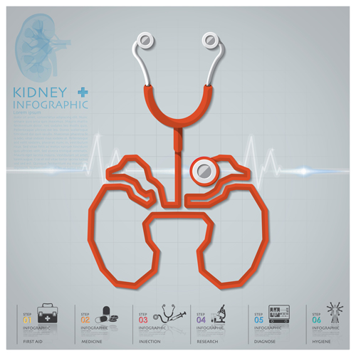 Health and Medical infographic with Stethoscope vector 05