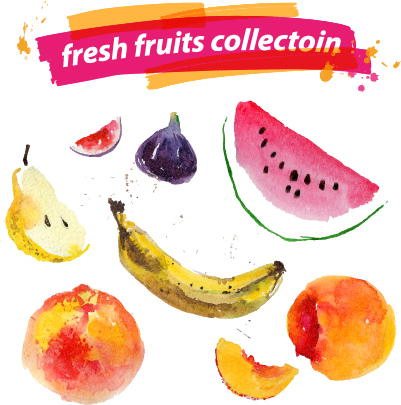 watercolor fruits fresh 