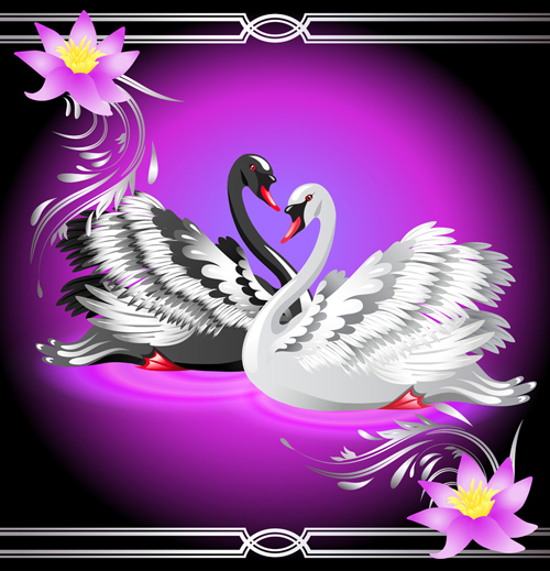 Vivid swans elements vector 04