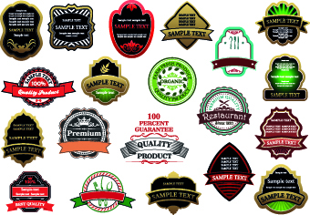 Exquisite labels decorative design vector illustration 01