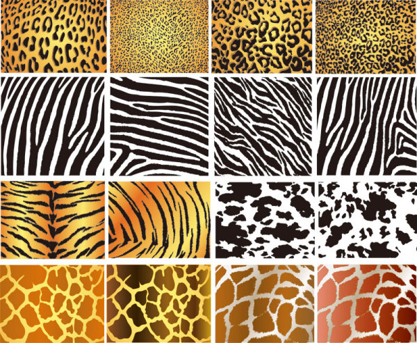 pattern vector leopard 