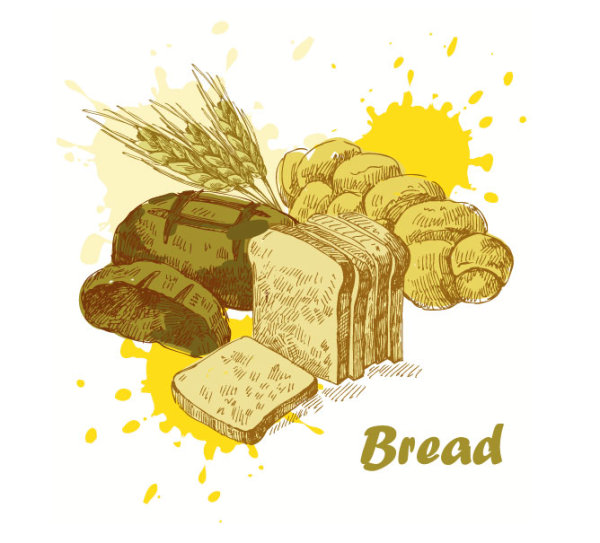 Hand drawn Different food elements vector 01