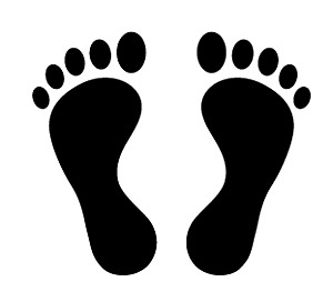 vector footprints 