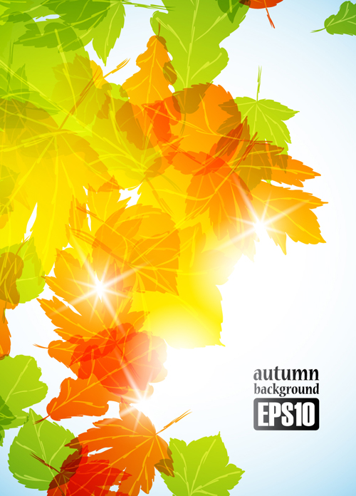 Autumn theme backgrounds art vector 01