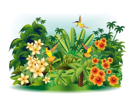 Bird in the natural design vector