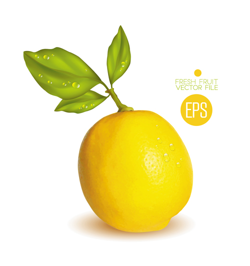 fruit fresh citrus 
