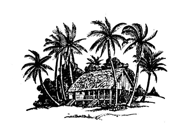 house hand-draw hand drawing coconut 