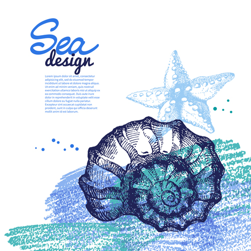 Set of seashell hand drawn vectors material 22