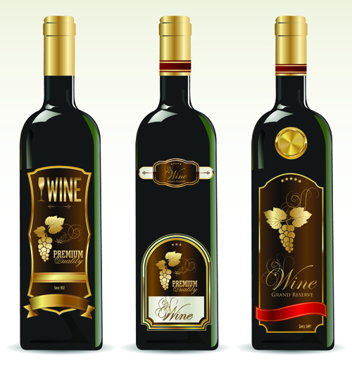Wine bottle with labels vector 01