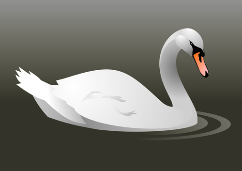 vivid swans elements element 