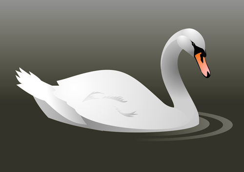 Vivid swans elements vector 01