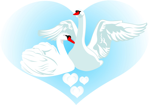 Vivid swans elements vector 02