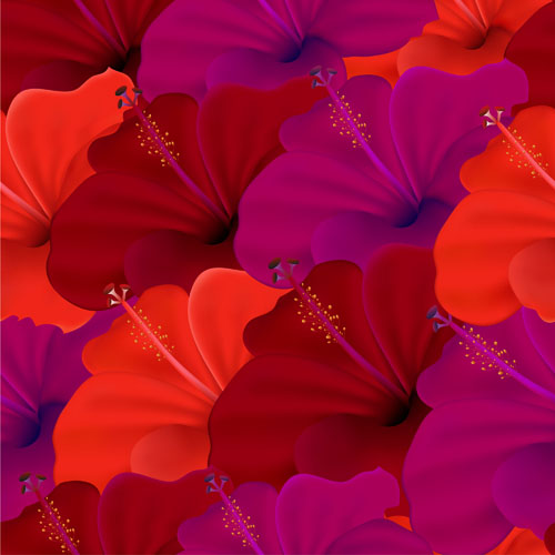 Set of with Flowers elements background vector 05