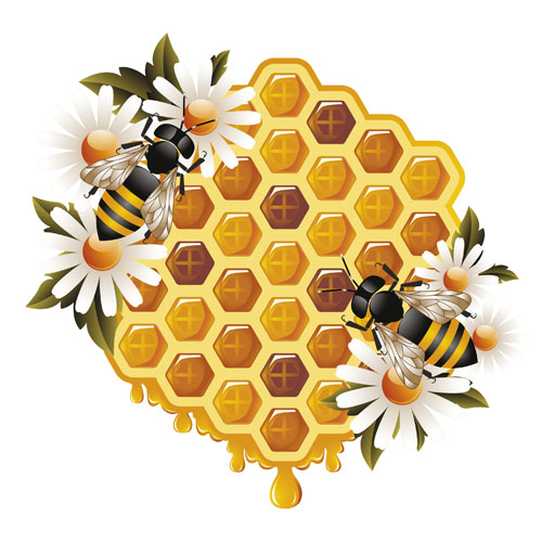 Elements of Honey and Bees vector set 01