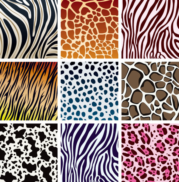 pattern vector pattern leopard 