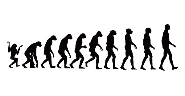 process Human evolution 