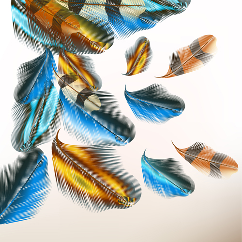 illustration feathers abstract 