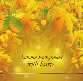 vector material material leaves autumn background 