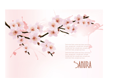 Beautiful cherry vector background art