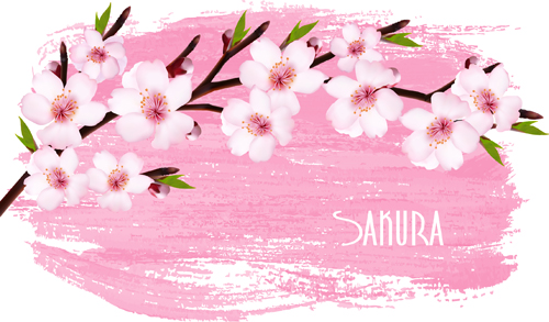 vector background sakura beautiful 