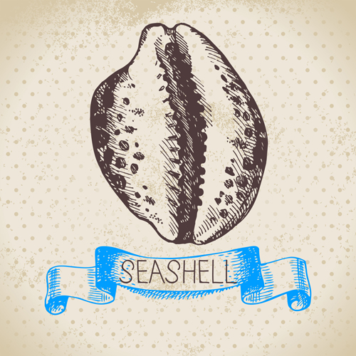 Set of seashell hand drawn vectors material 04