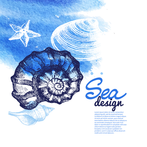 Set of seashell hand drawn vectors material 20