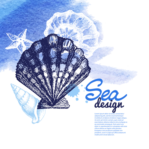 Set of seashell hand drawn vectors material 21