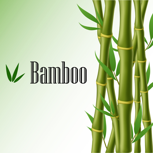 bamboo vector background material 01 Shiny spring bamboo vector background material 01