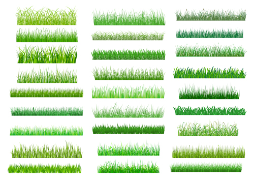 Spring grass borders vector material set 03