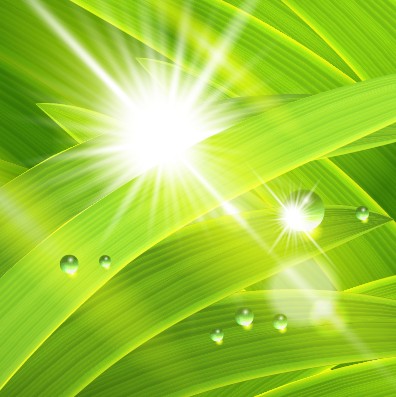 Summer sunlight background art vector 02