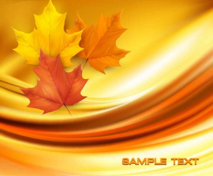 Beautiful maple leaf background vector set 01 Beautiful maple leaf background vector set 01