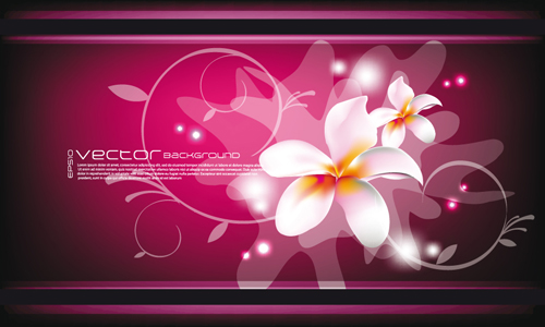 Elements of floral backgrounds vector illustration 10