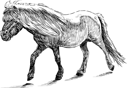 Draw horses vector 01