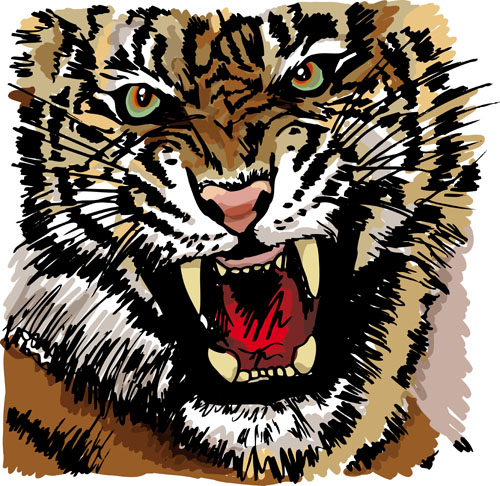 Set of tiger elements vector 04