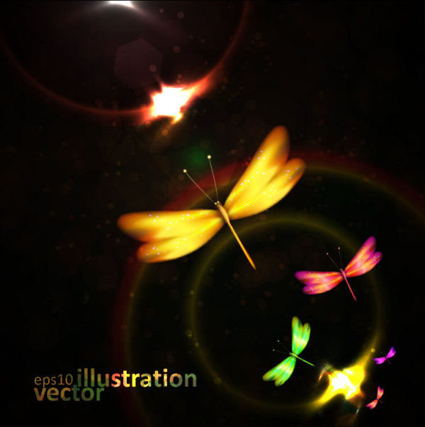 vector illustration dragonfly colorful 
