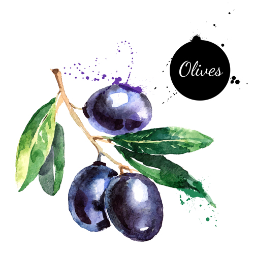 watercolor olive creative 