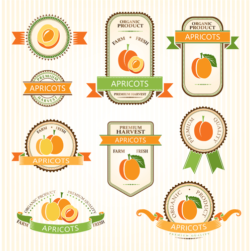 Delicate fruits labels vector material set 06