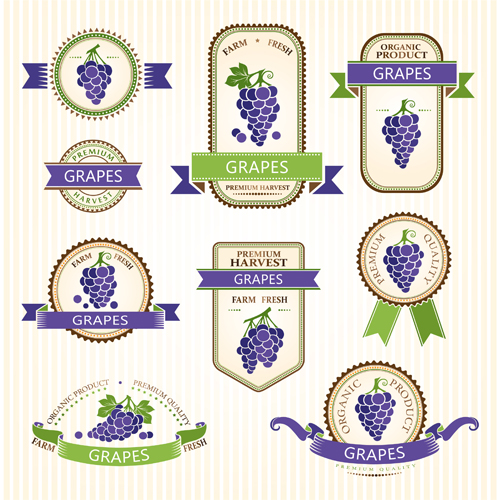 Delicate fruits labels vector material set 07
