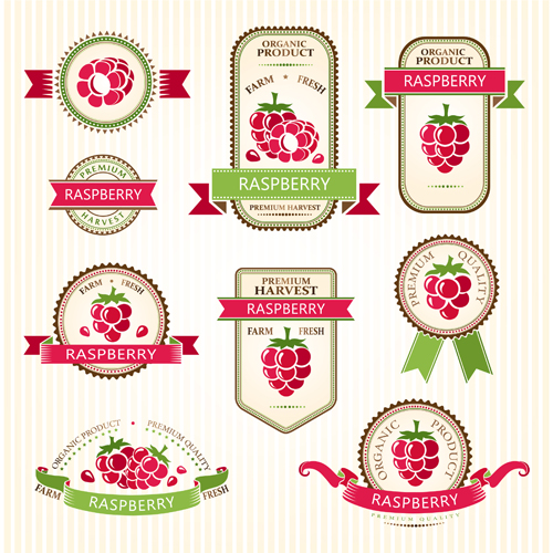 Delicate fruits labels vector material set 09