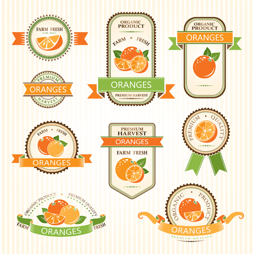Delicate fruits labels vector material set 16